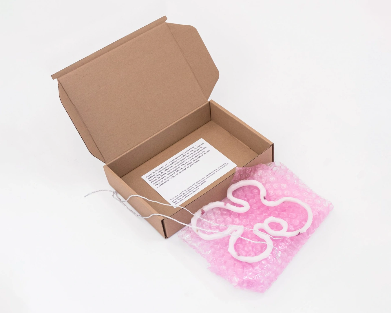 Flower in December - Lucie Férézou | © Photo - Noé Péan 2025 | Lucie Férézou , Flower , December , Multiple , cire , oeuvre , La Criée